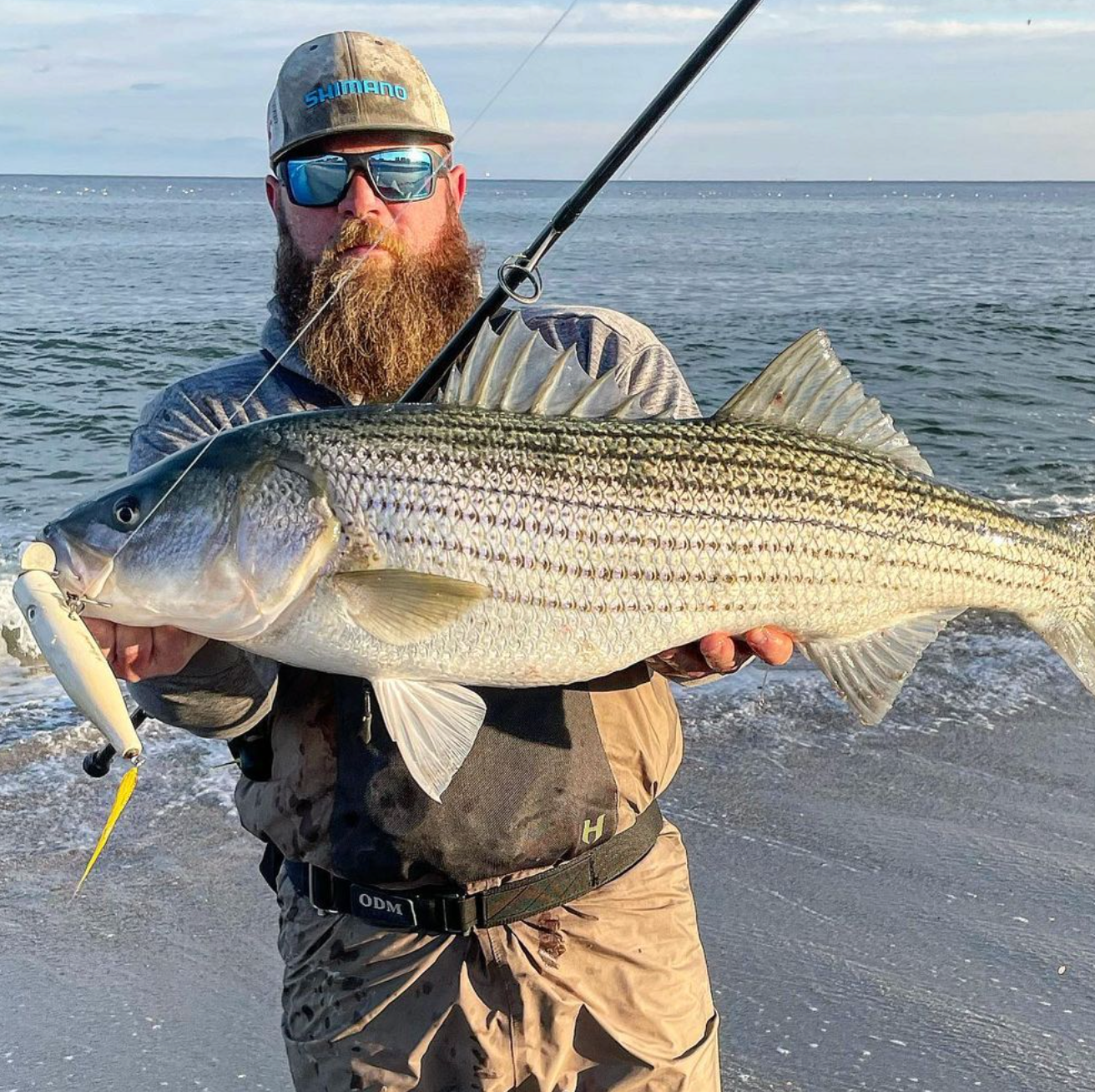 Fishing “Peanut” Bunker Blitzes in the Surf                                                                                                                        By Nick Criaris