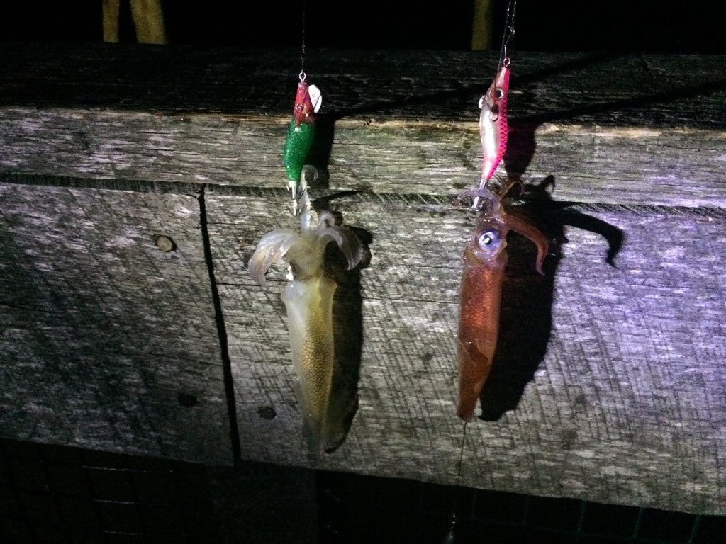 Head Boat Tuna Fishing, North East Style By Braden Niper