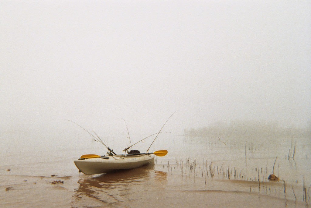 Under Pressure: Why Weather Affects Fish Behavior