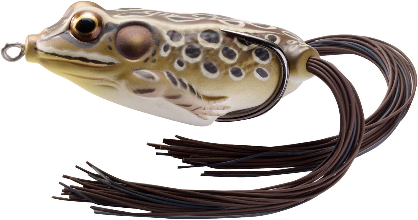 LiveTarget Frog Hollow Body Topwater Lure, 2 1/4"