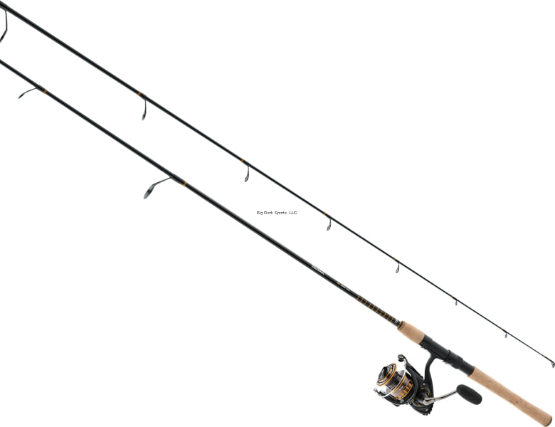 Daiwa  BG Inshore Spinning Combo