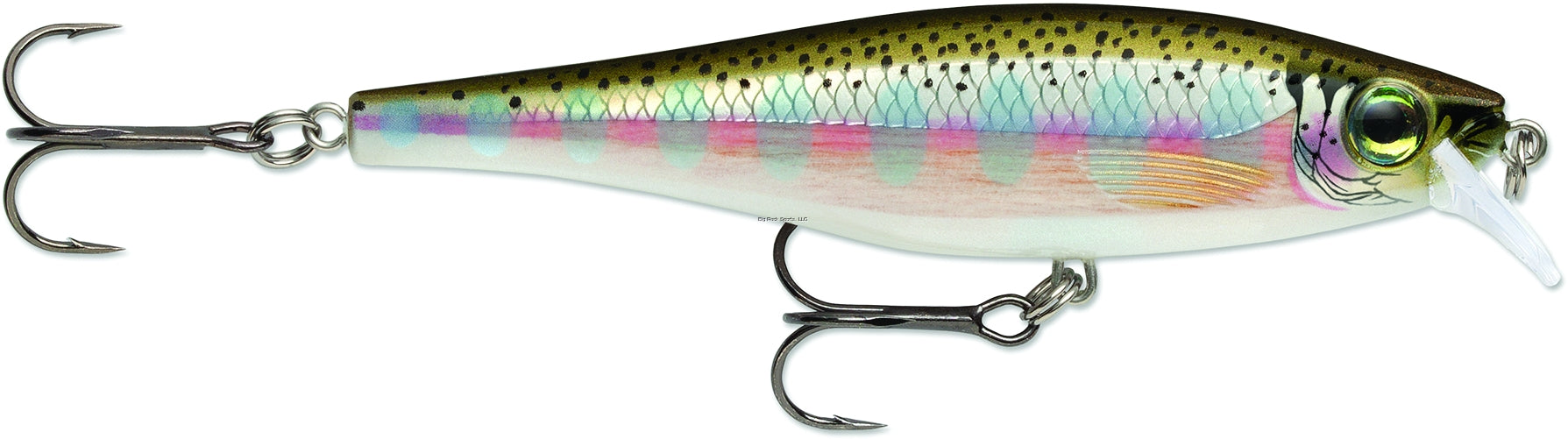 Rapala Balsa Extreme BX Minnow, 2-3/4", 1/4oz, Rainbow Trout