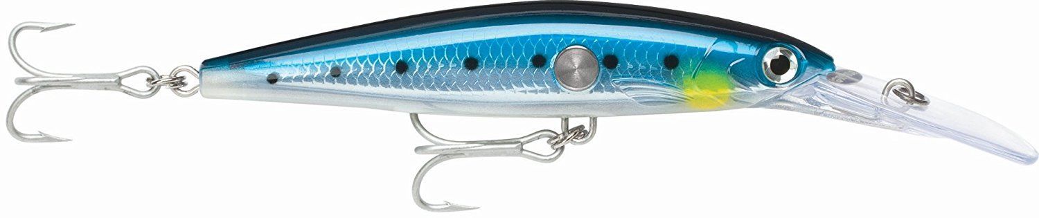 Rapala CLACKIN' MAGNUM 10 Blue Sardine Diving BSRD Lure New