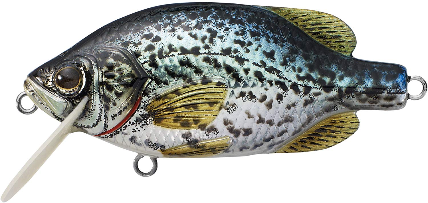 LiveTarget Crappie Flat-Side Shallow Dive Crankbait