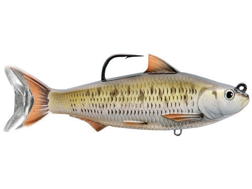 Live Target Common Shiner Swimbait