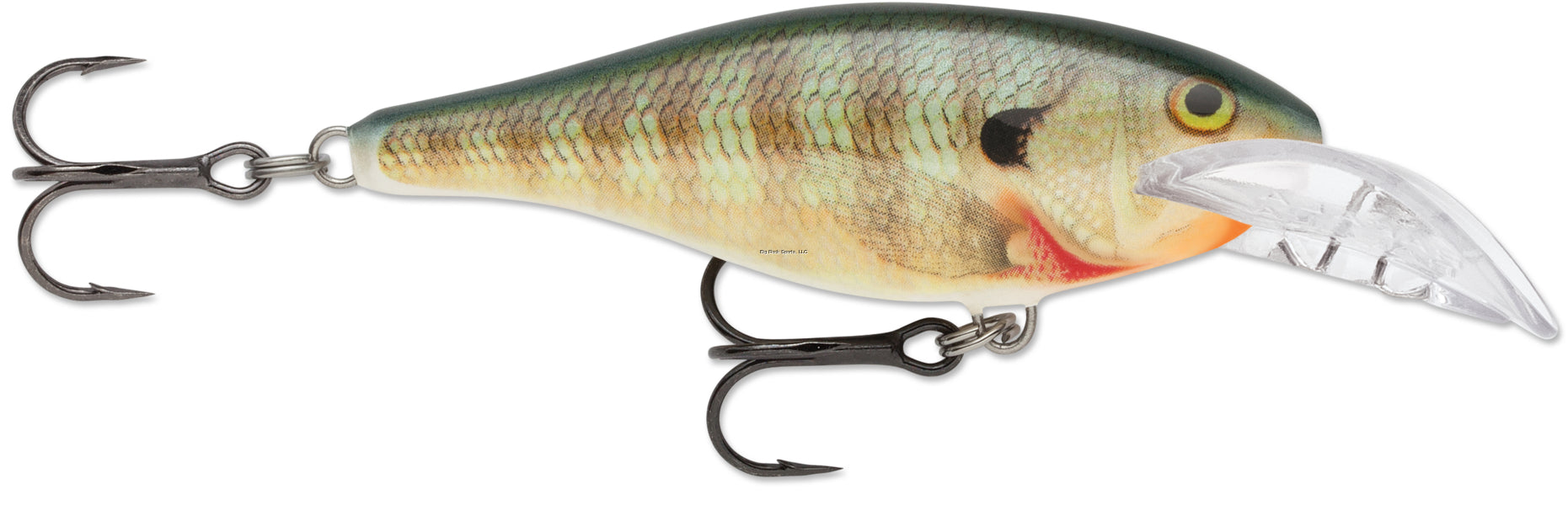 Rapala Scatter Rap Shad Deep, Floating-Diving, 8 Ft, 2-3/4", 1/4 oz, Bluegill