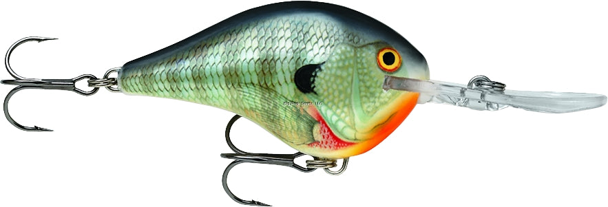 Rapala Dives-To 10 Crankbait, Floating (2-1/4", 3/5oz, Assorted Colors)