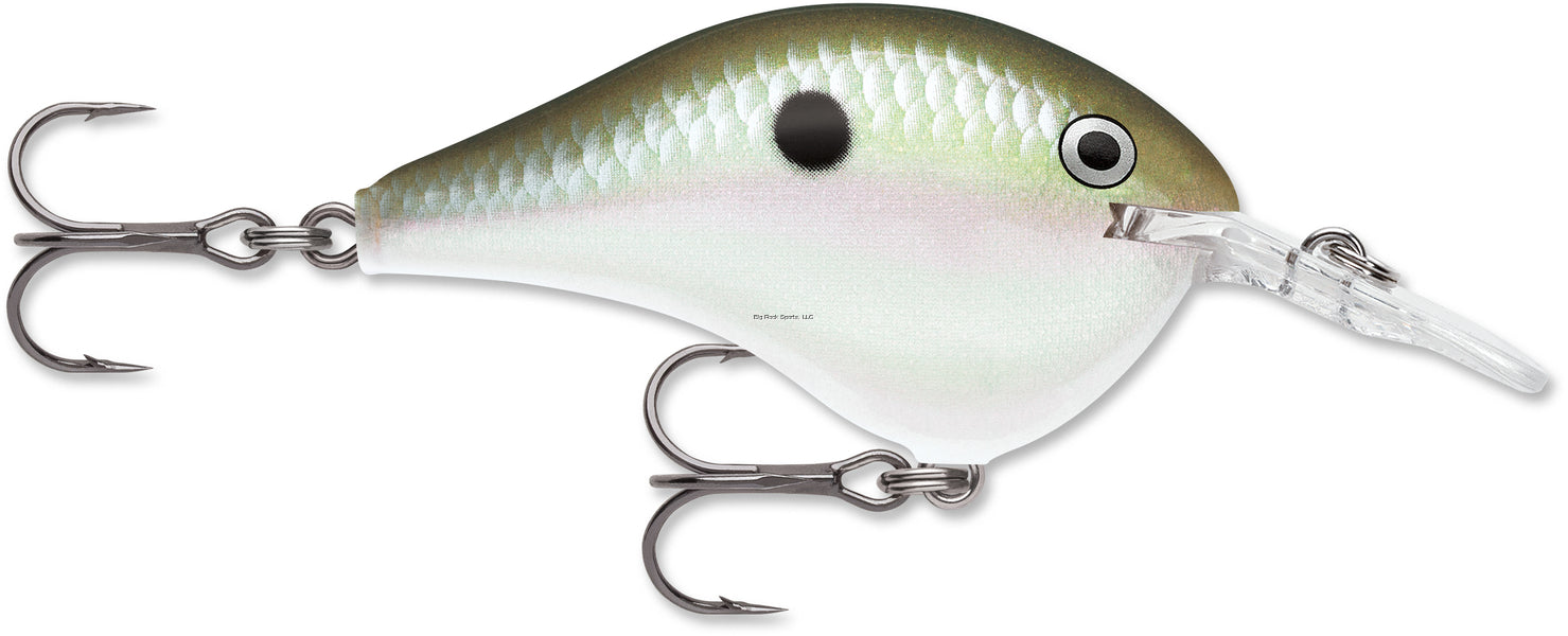 Rapala Dives-To 06 Crankbait, Floating (2", 3/8oz, Assorted Colors)