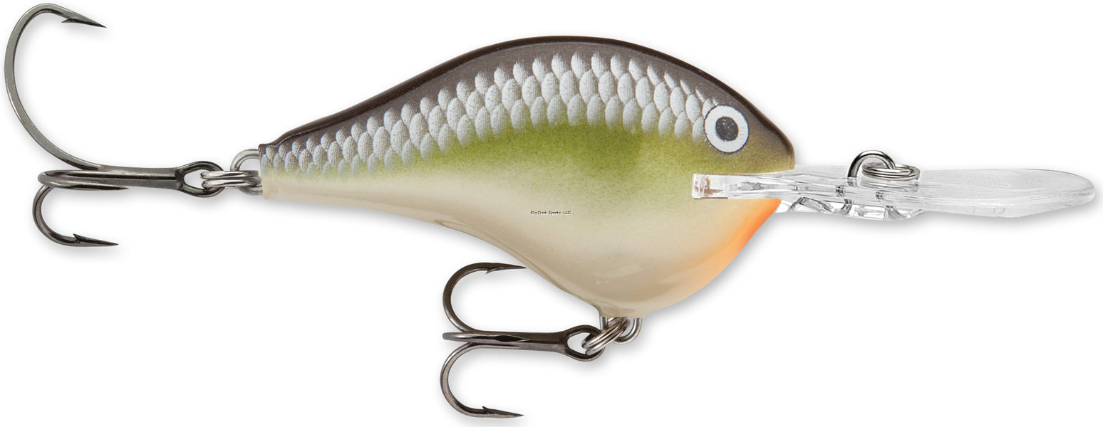 Rapala Dives-To 06 Crankbait, Floating (2", 3/8oz, Assorted Colors)