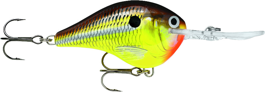 Rapala Dives-To 10 Crankbait, Floating (2-1/4", 3/5oz, Assorted Colors)