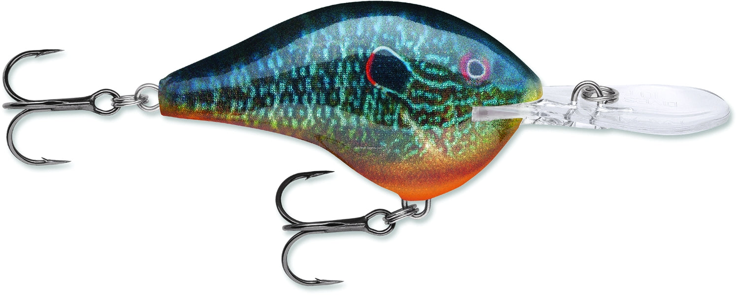 Rapala Dives-To 10 Crankbait, Floating (2-1/4", 3/5oz, Assorted Colors)