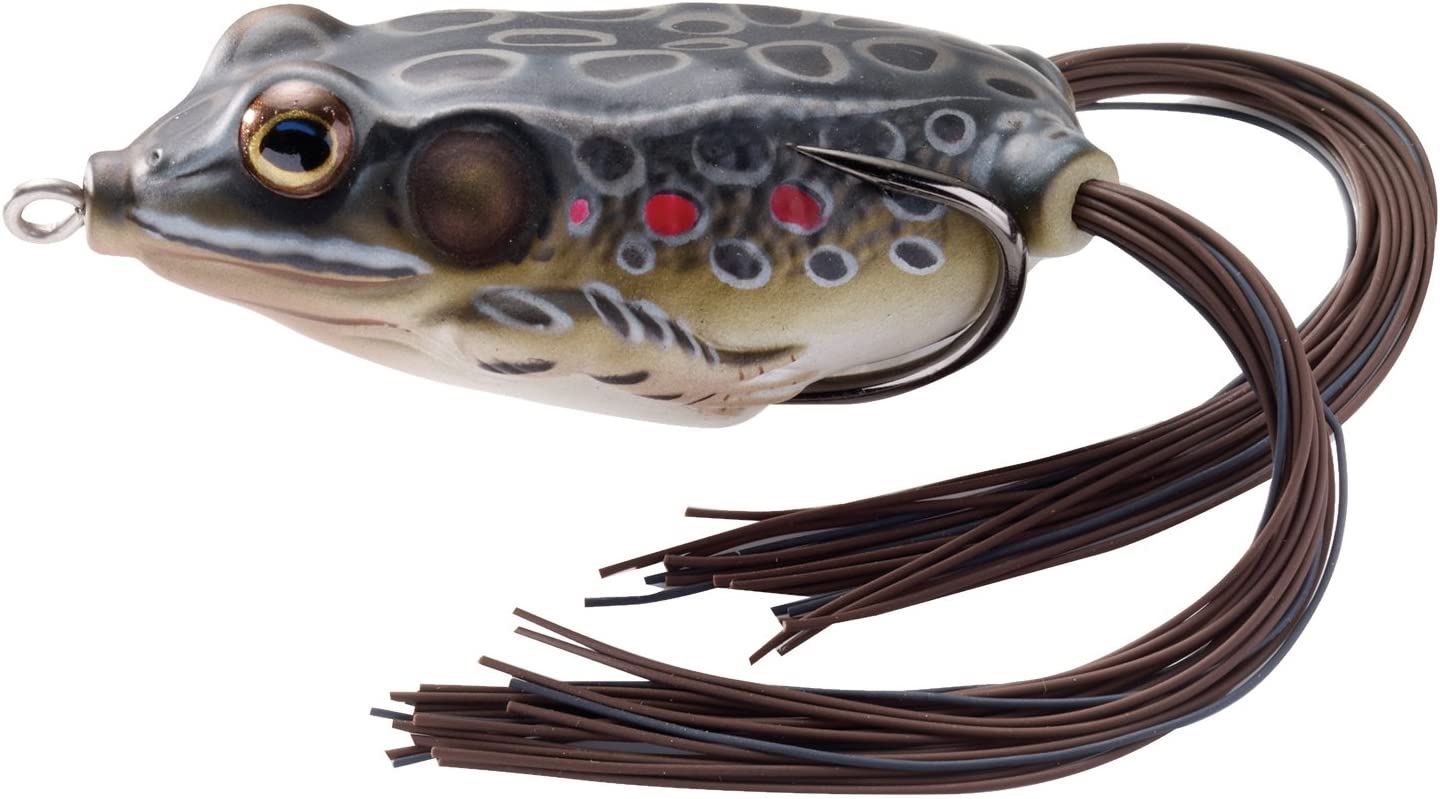 LiveTarget Frog Hollow Body Topwater Lure, 1 3/4", #1 Hook, 1/4 oz, Brown/Black