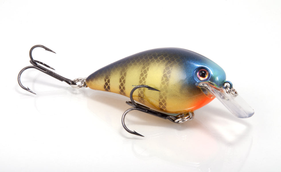 Strike King Pro Model KVD 1.5 Square Bill Silent Crankbait