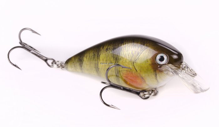 Strike King Pro Model KVD 1.5 Square Bill Silent Crankbait