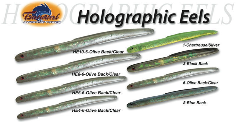 Tsunami Holographic Eel Unrigged Lure HE4 HE6