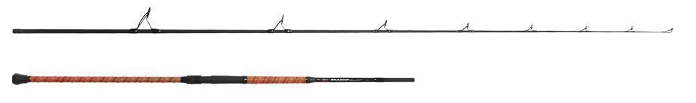 Jigging World Shadow 2-PC Surf Spinning Rod