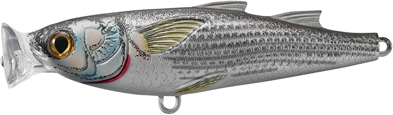 LiveTarget Mullet Topwater Popper 4 3/4", 1 1/4 oz