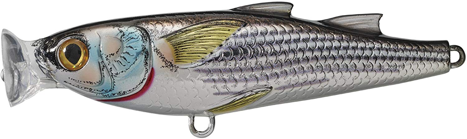 LiveTarget Mullet Topwater Popper 4 3/4", 1 1/4 oz