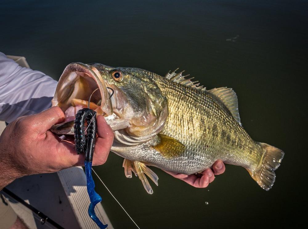 Berkley PowerBait Power Worms