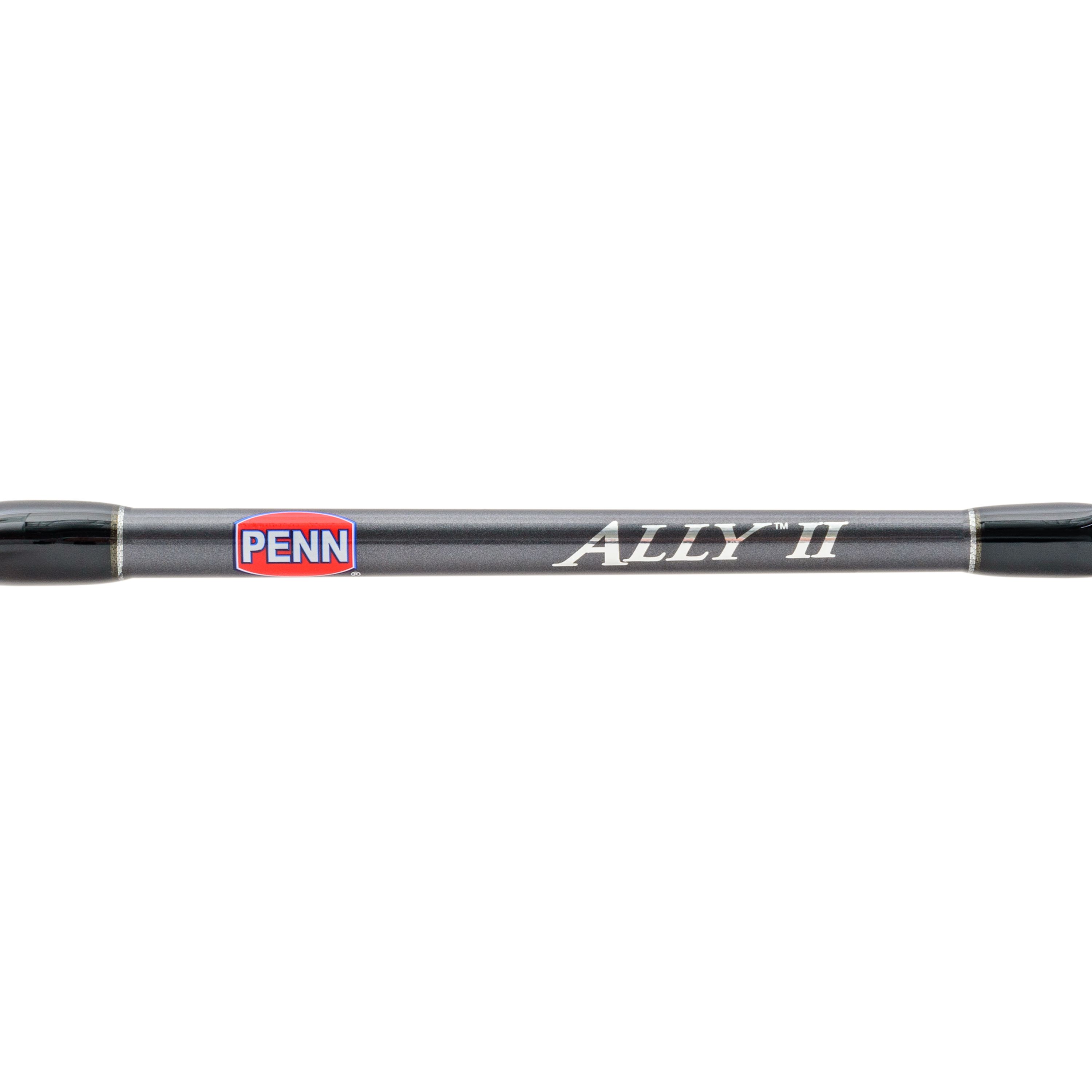 Penn Ally II ALLYBWII80250C60DD Deep Drop Boat Rod 6' 2pc