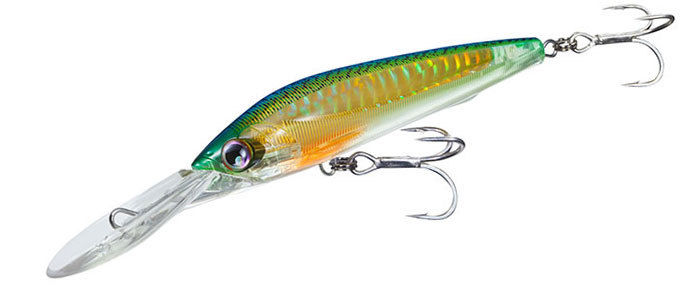 Yo-Zuri 7" Sashimi 3D Magnum Deep Diving Floating Lure