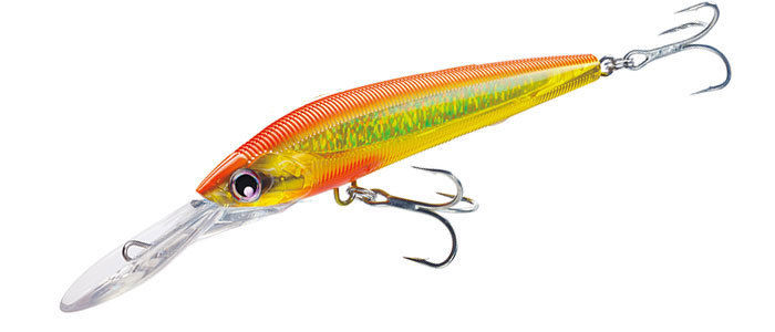 Yo-Zuri 7" Sashimi 3D Magnum Deep Diving Floating Lure