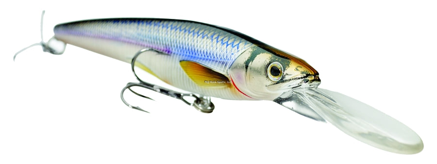 LiveTarget Rainbow Smelt Shallow Dive Jerkbait, 3'-5', 4-1/2", #4 Hooks, 5/8 oz, Silver/Blue