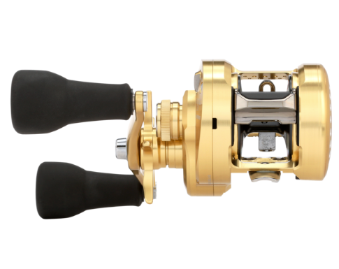 Shimano Calcutta Conquest MD Baitcasting Reels