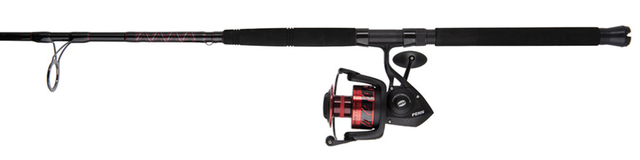 Penn Fierce III Spinning Fishing Reel Combo