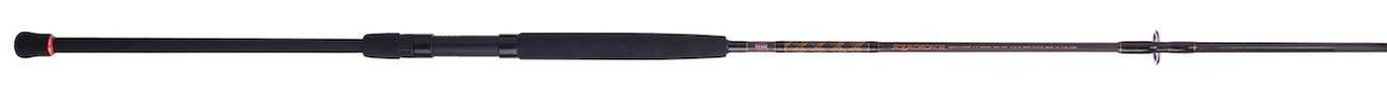 Penn SQDSFIII1220S90 Squadron III Surf Spinning Rod