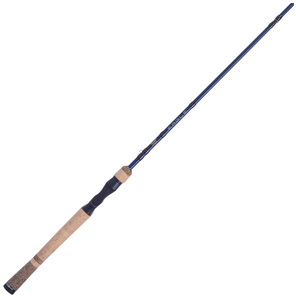 Fenwick Eagle Casting Rods