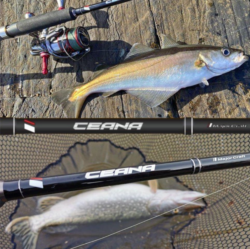 Major Craft Ceana Spinning Combo