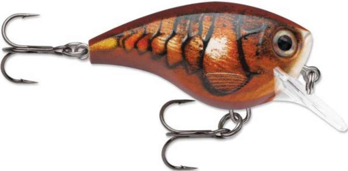 Rapala BX Big Brat Crankbait, Hard Flash, Square Bill (2-3/4", 3/4oz, Assorted Colors)