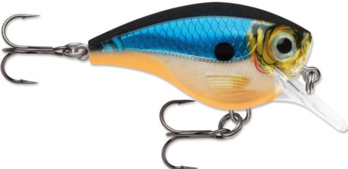 Rapala BX Big Brat Crankbait, Hard Flash, Square Bill (2-3/4", 3/4oz, Assorted Colors)