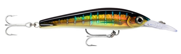 Rapala X-Rap Magnum XTreme 160, Floating-Diving, 6"