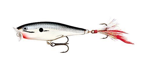 Rapala Skitter Pop Topwater Lure