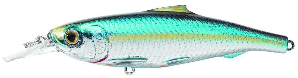 Live Target Spanish Sardine Jerkbait SPJ Saltwater Inshore Hard Plastic Baits