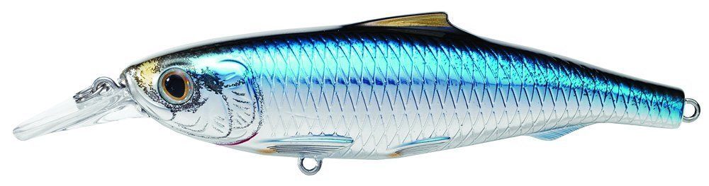 Live Target Spanish Sardine Jerkbait SPJ Saltwater Inshore Hard Plastic Baits