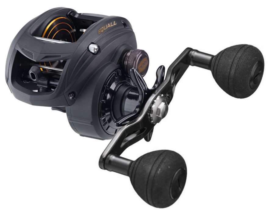 Penn Squall Low Profile Baitcasting Fishing Reels, Metal Frame