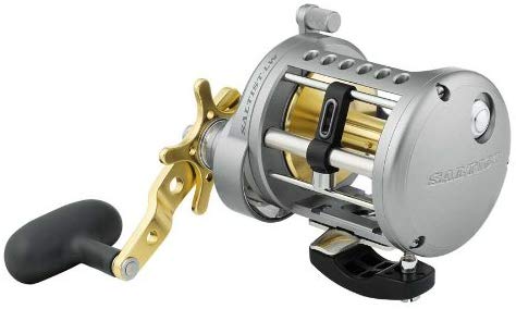 Daiwa Saltist Conventional Reel, 4 (4 Crbb) + 1 , 6.1 : 1