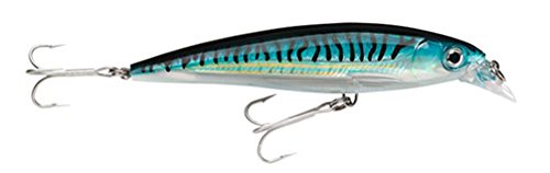 Rapala X-Rap Saltwater SXR10 Fishing Lure, 4" (Assorted Colors)