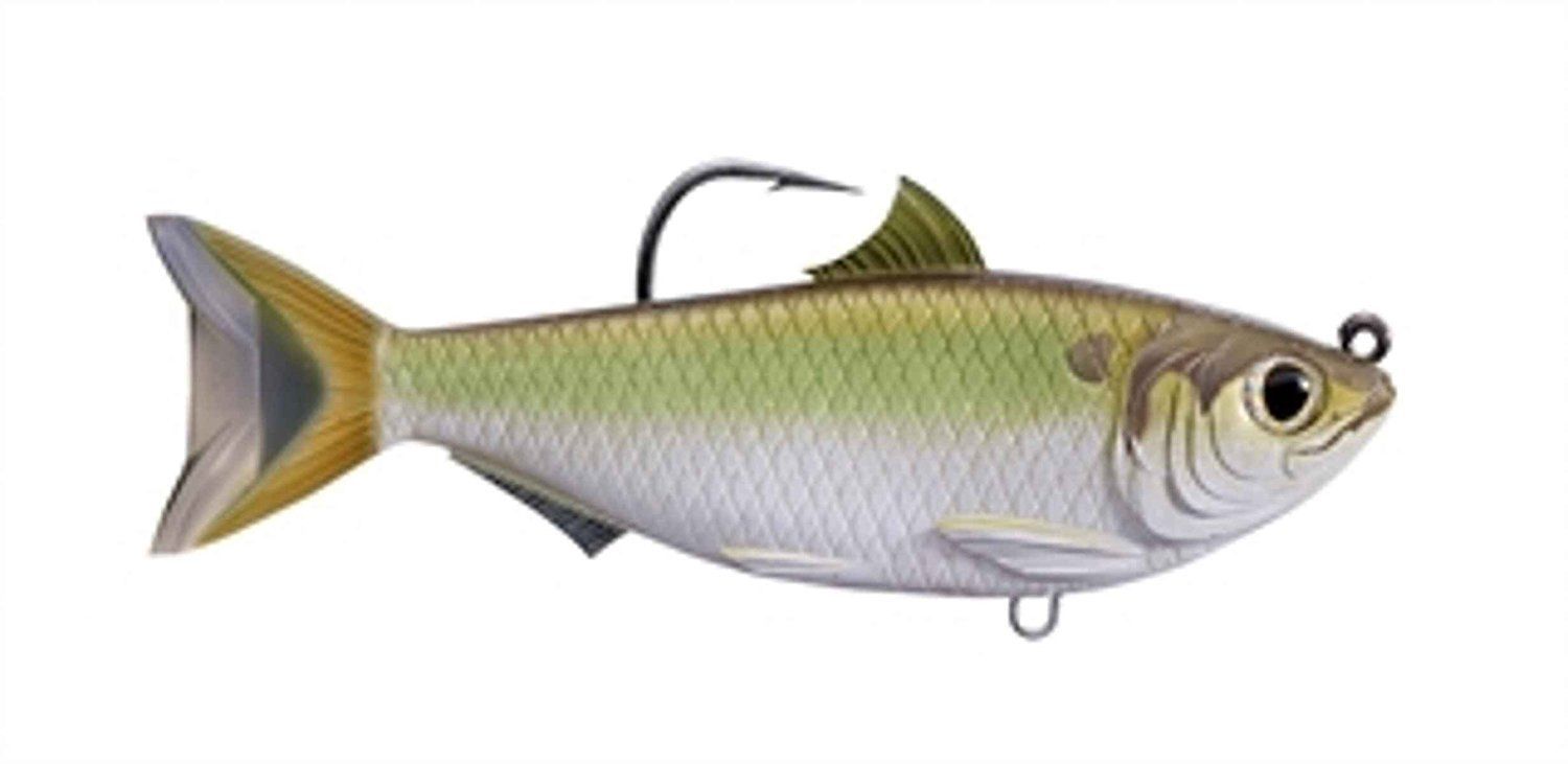 Live Target Threadfin Shad