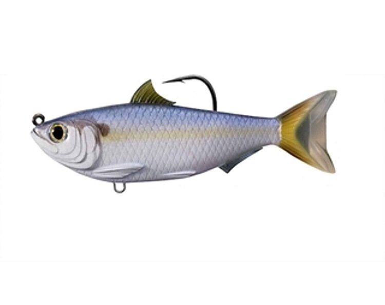 Live Target Threadfin Shad