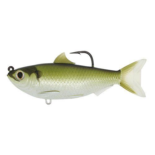 Live Target Threadfin Shad