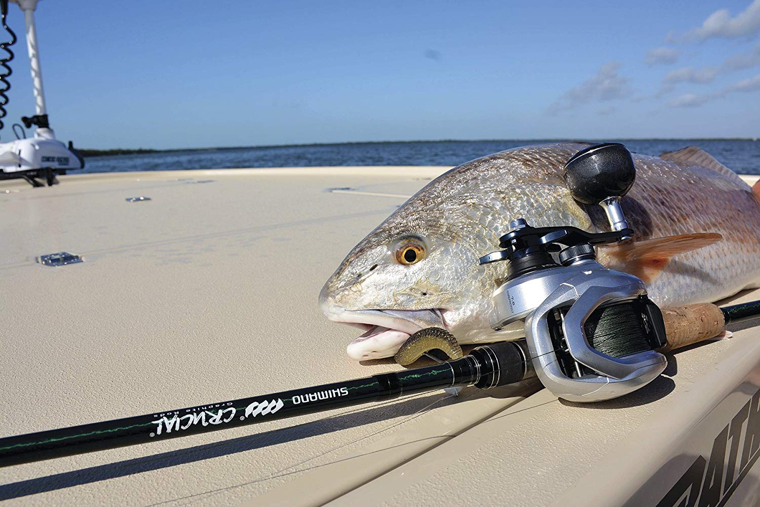 Shimano Tranx Low Profile Baitcasting Reel