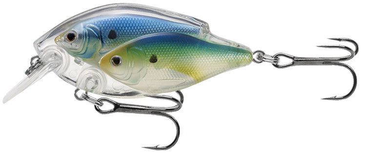 Live Target Shad Baitball Squarebill Crankbait