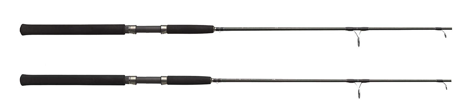 SHIMANO Trevala Saltwater Jigging Spinning Rod