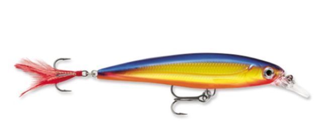 Rapala X-Rap XR-10 Suspending Jerkbait Lure (4", 7/16oz, Assorted Colors)