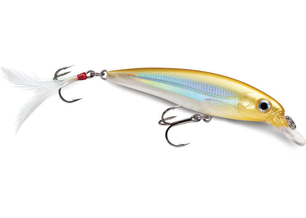 Rapala X-Rap XR-10 Suspending Jerkbait Lure (4", 7/16oz, Assorted Colors)