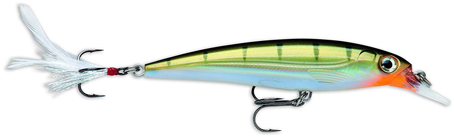 Rapala X-Rap XR-10 Suspending Jerkbait Lure (4", 7/16oz, Assorted Colors)